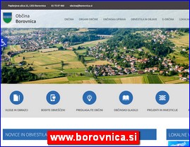 Gradovi, regije  , www.borovnica.si