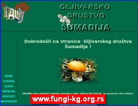 Peurke, gljive, ampinjoni, www.fungi-kg.org.rs