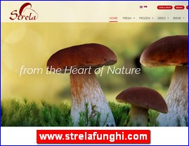 Peurke, gljive, ampinjoni, www.strelafunghi.com
