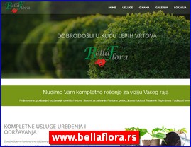 Cvee, cveare, hortikultura, www.bellaflora.rs