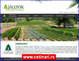Cvee, cveare, hortikultura, www.cetinari.rs
