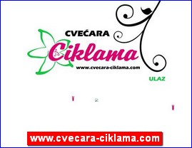 Cvee, cveare, hortikultura, www.cvecara-ciklama.com