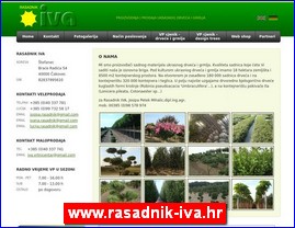 Cvee, cveare, hortikultura, www.rasadnik-iva.hr