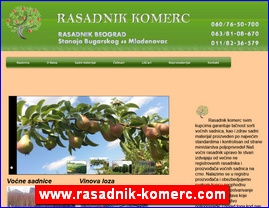 Cvee, cveare, hortikultura, www.rasadnik-komerc.com