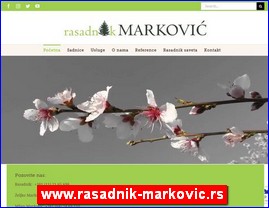 Cvee, cveare, hortikultura, www.rasadnik-markovic.rs