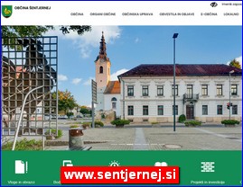 Gradovi, regije  , www.sentjernej.si